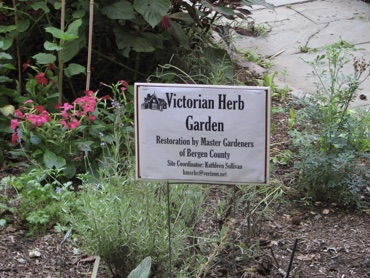 viccyherbgardenpicherm