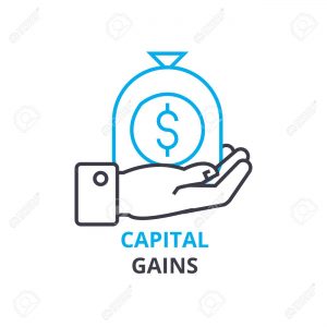 capital gains concept , outline icon, linear sign, thin line pictogram, logo, flat illustration, vector